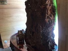 -思泊湖牛肉面(兰州总店)