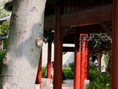 -顺峰山公园