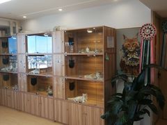 -猫十亿·布偶金渐层·曼基康矮脚猫舍(青年路店)
