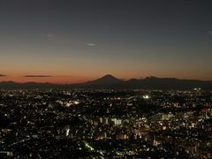 -横滨地标大厦