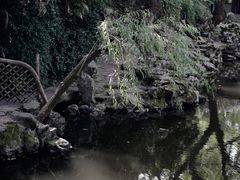 -秋霞圃