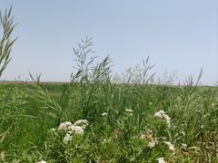 -敕勒川草原文化旅游区