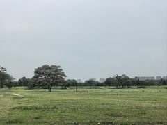 -汉长安城未央宫国家考古遗址公园