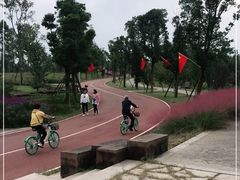 -白鹭湾湿地公园