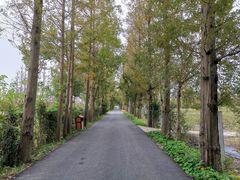 -上海长兴岛郊野公园