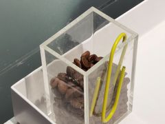 -YECLIP COFFEE黄色回形针咖啡
