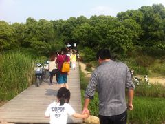 -美兰湖景区
