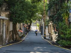 -溪岸路花鸟市场