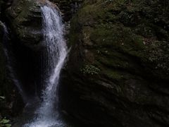 -牛背梁国家森林公园