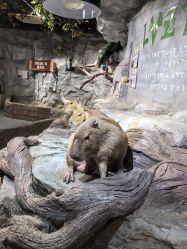 -Zoolung Zoolung动物主题公园(海信广场店)