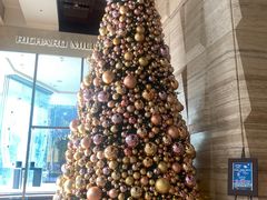 -上海柏悦酒店·大堂客厅