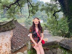 -杨家堂村