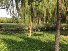 -秀水公园