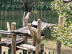 -沈阳森林动物园