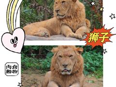-广州长隆野生动物世界
