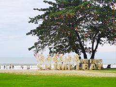 -龙泉人椰子鸡.糟粕醋.海南菜(三亚旗舰店)