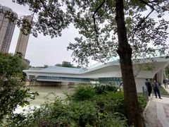 -成都市活水公园