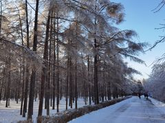 -长春市南湖公园