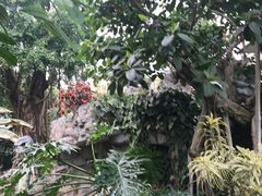 -北京植物园-展览温室