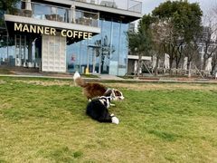 -Manner Coffee(徐汇滨江店)