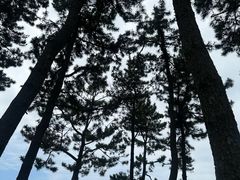 -柱状节理带