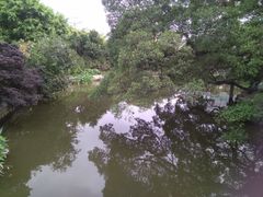 -小洲村