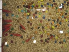 -雅逸居海鲜小厨