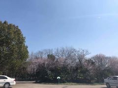 -胜华驾校·小猫学车(银都店)