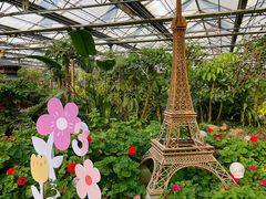 -南宫五洲植物乐园