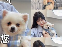 -怪兽屋·羊驼·猫咖·狗咖(俊华广场店)