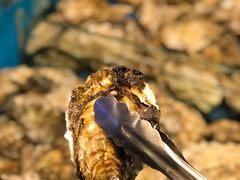 -潮庭·大连海鲜·炭火烧烤·扇贝王(大连店)