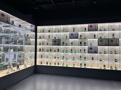 -广东中医药博物馆