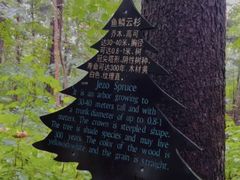 -五营国家森林公园