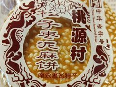 -桃源村(老门东店)