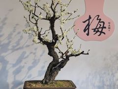 -颐和园