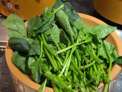 -龍歌自助小火锅(崂山丽达店)