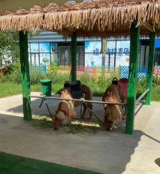 -萌宠亲子动物乐园(槐房万达店)