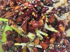 -雲蜀龙阁·金牌水煮鱼(方庄店)