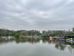 -南沙蒲洲花园