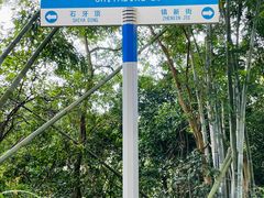 -黄埔油麻山森林公园