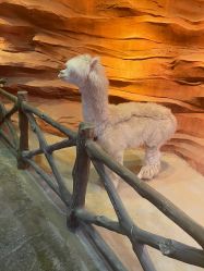 -酷嗒动物文化乐园(cutezoo西溪乐天城店)