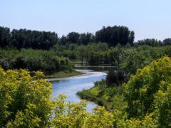 -东郊湿地公园