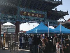 -曹州牡丹园