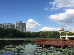 -新江湾城公园