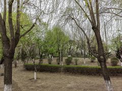 -长春公园(普阳街道)