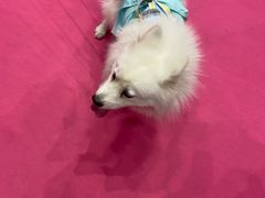 -郑州国际会展中心