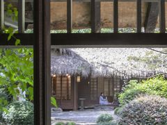 -中国茶叶博物馆(双峰馆区)