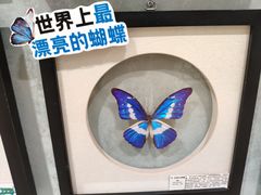 -深圳龙华星河COCO City(民治店)