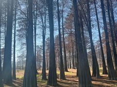 -四明山国家森林公园