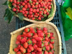 -宋记冕宁土菜馆(海门渔村二店)